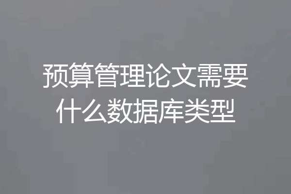 预算管理论文需要什么数据库类型