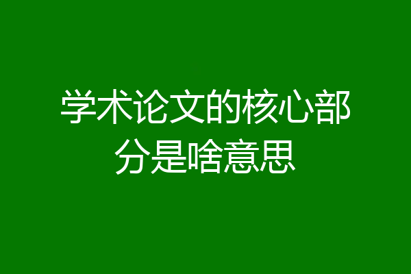 学术论文的核心部分是啥意思