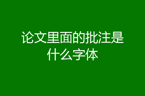 论文里面的批注是什么字体