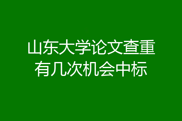山东大学论文查重有几次机会中标