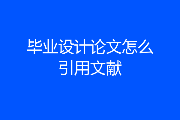毕业设计论文怎么引用文献