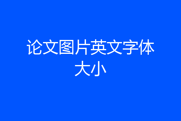 论文图片英文字体大小
