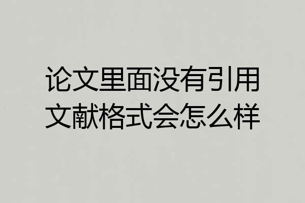 论文里面没有引用文献格式会怎么样