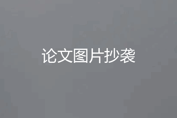 论文图片抄袭