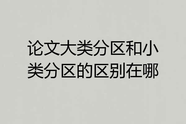 论文大类分区和小类分区的区别在哪