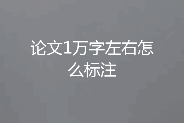论文1万字左右怎么标注
