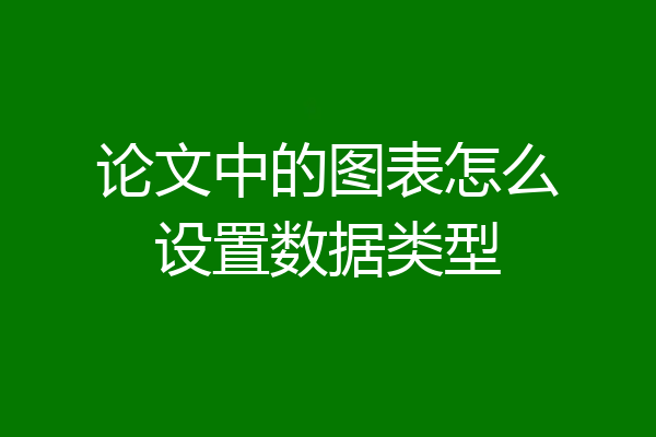 论文中的图表怎么设置数据类型