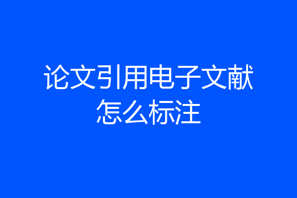 论文引用电子文献怎么标注