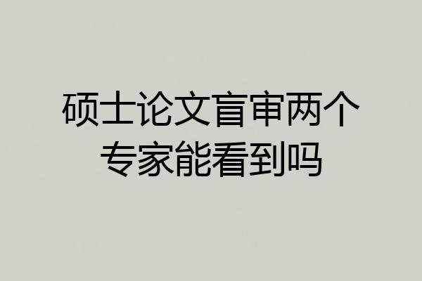 硕士论文盲审两个专家能看到吗
