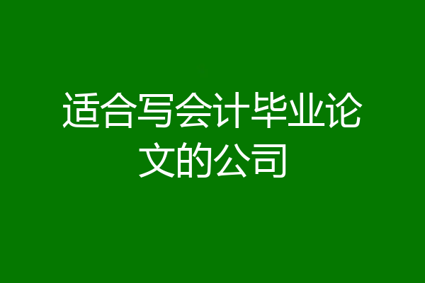 适合写会计毕业论文的公司