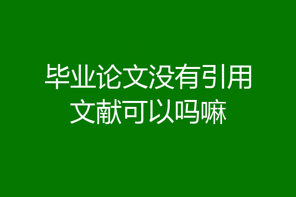 毕业论文没有引用文献可以吗嘛