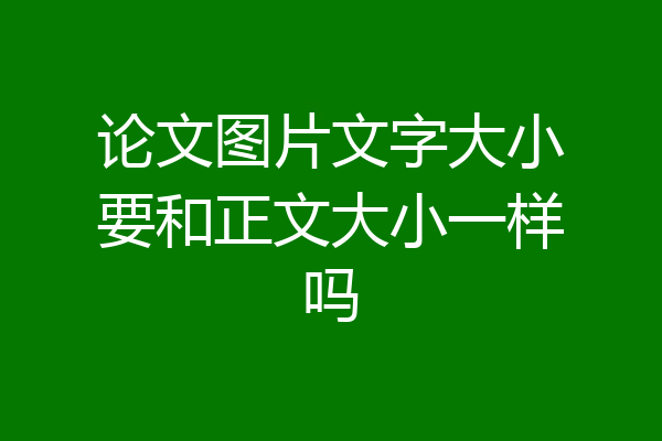 论文图片文字大小要和正文大小一样吗