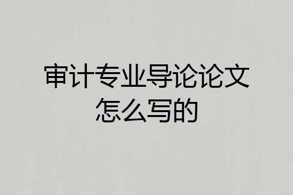 审计专业导论论文怎么写的