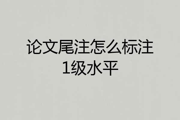 论文尾注怎么标注1级水平