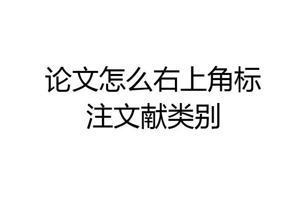 论文怎么右上角标注文献类别