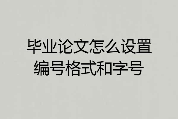 毕业论文怎么设置编号格式和字号