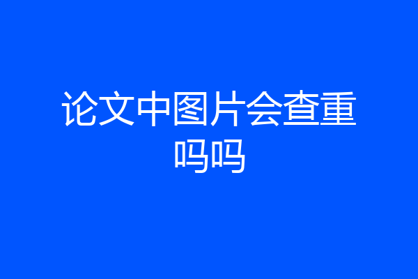 论文中图片会查重吗吗