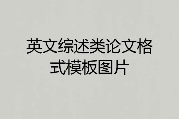 英文综述类论文格式模板图片