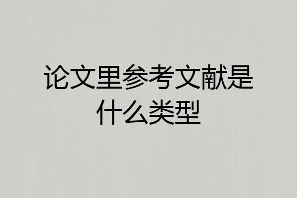 论文里参考文献是什么类型