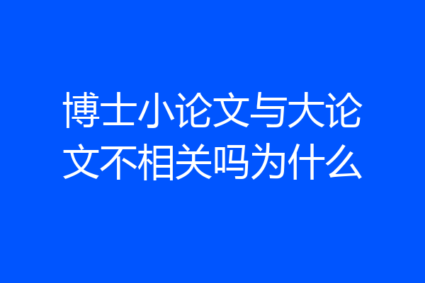 博士小论文与大论文不相关吗为什么