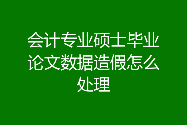 会计专业硕士毕业论文数据造假怎么处理