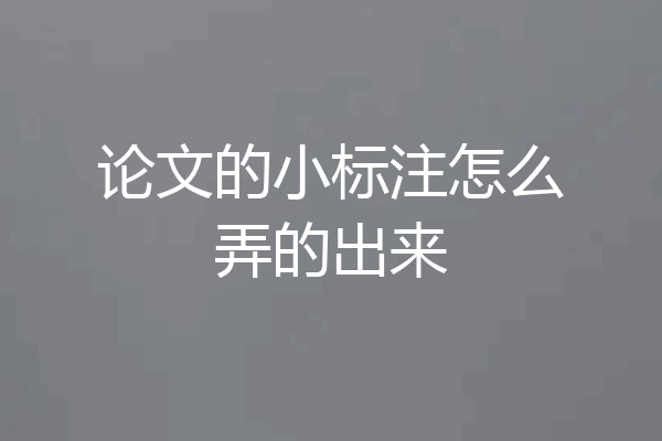 论文的小标注怎么弄的出来