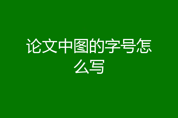 论文中图的字号怎么写