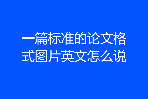 一篇标准的论文格式图片英文怎么说