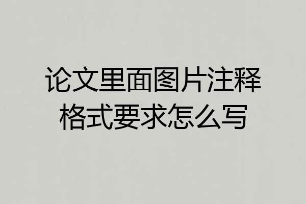 论文里面图片注释格式要求怎么写