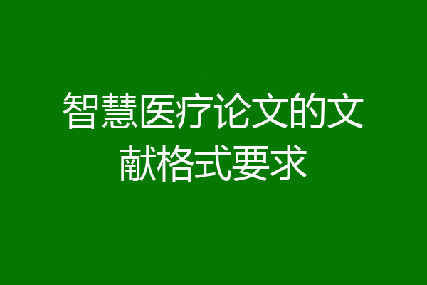 智慧医疗论文的文献格式要求
