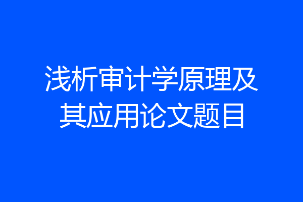 浅析审计学原理及其应用论文题目