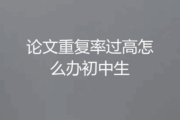 论文重复率过高怎么办初中生