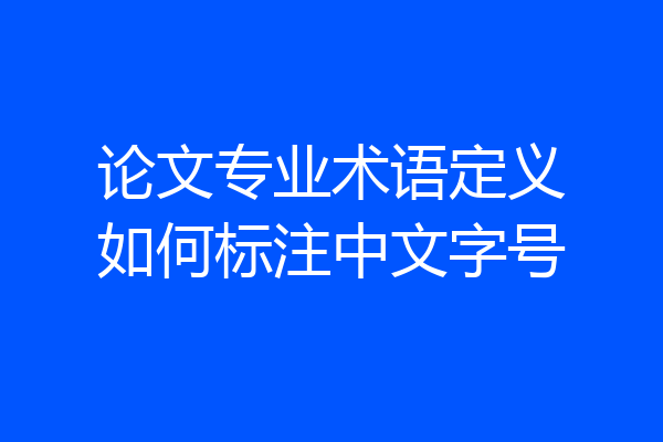 论文专业术语定义如何标注中文字号