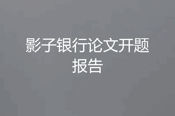 影子银行论文开题报告