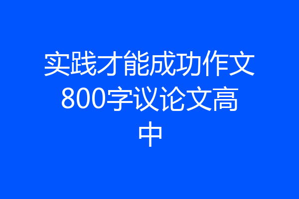 实践才能成功作文800字议论文高中