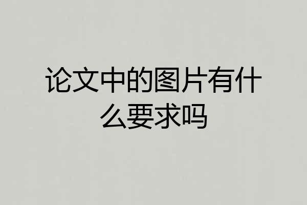 论文中的图片有什么要求吗