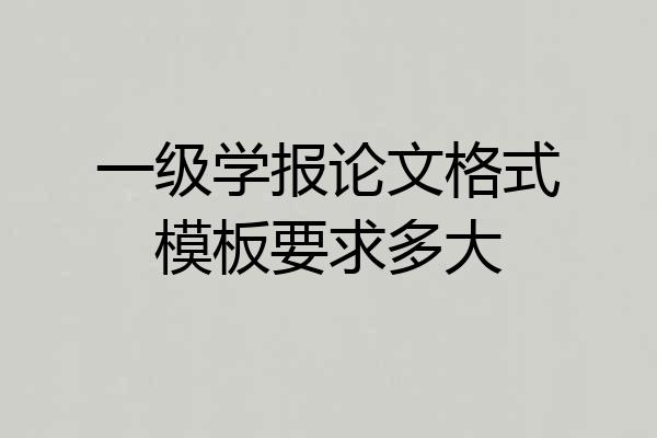 一级学报论文格式模板要求多大