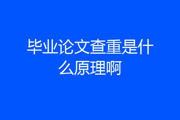 毕业论文查重是什么原理啊