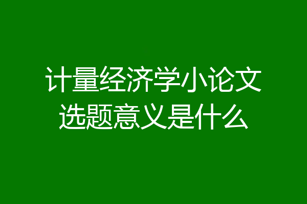 计量经济学小论文选题意义是什么