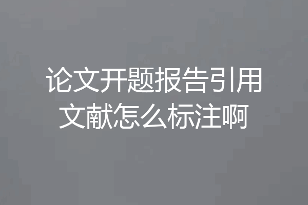 论文开题报告引用文献怎么标注啊
