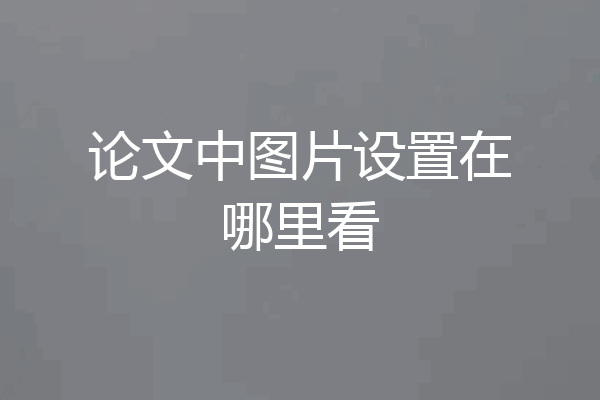 论文中图片设置在哪里看