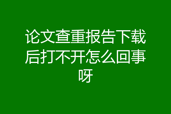 论文查重报告下载后打不开怎么回事呀