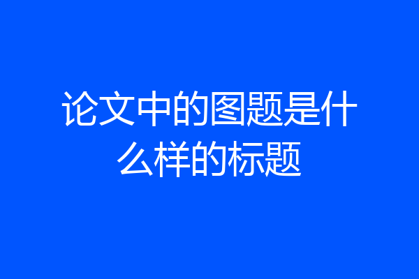 论文中的图题是什么样的标题