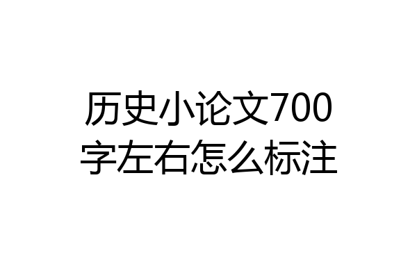 历史小论文700字左右怎么标注