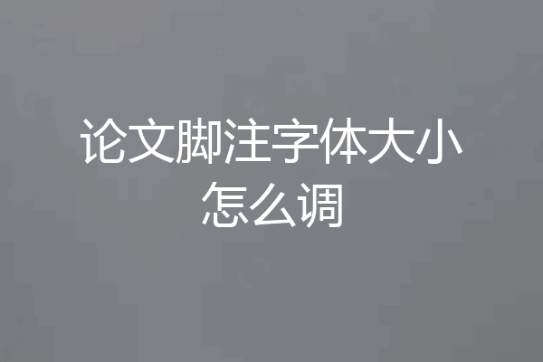 论文脚注字体大小怎么调