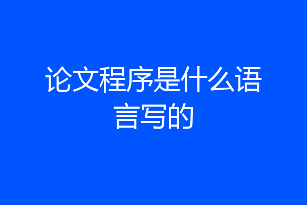 论文程序是什么语言写的