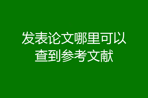 发表论文哪里可以查到参考文献