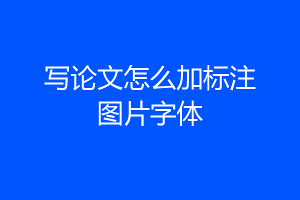 写论文怎么加标注图片字体
