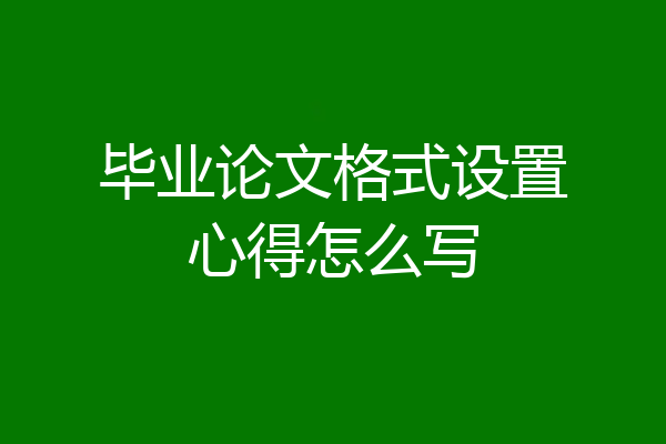 毕业论文格式设置心得怎么写