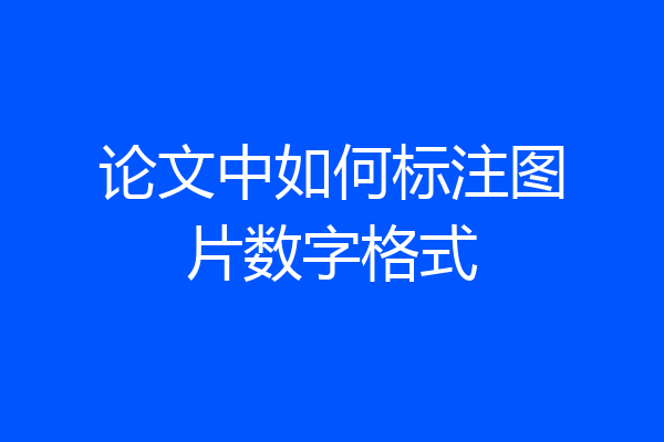 论文中如何标注图片数字格式